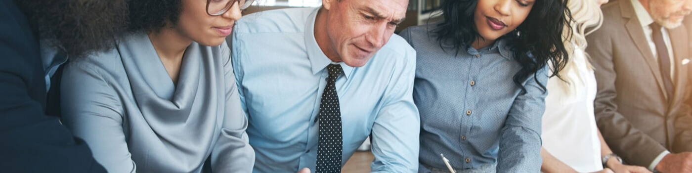 A diverse group of business professionals looking at a computer screen 